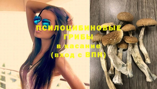 винт Балахна